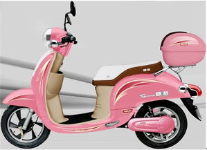 歐派電動車順利通過江西省非機動車上牌審批 圖