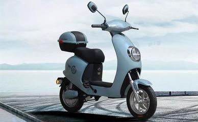 雅迪、臺鈴、綠佳、新大洲這些電動車企業,都有什么動作?