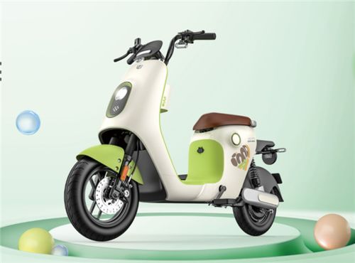 鉛酸電動車換裝鋰電池可行嗎 綠源 不建議不支持