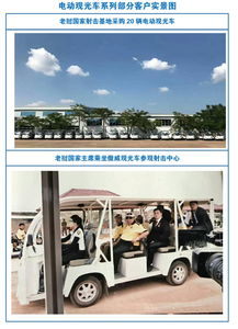 成都旅游電動觀光車廠家直銷電話,四川景區(qū)觀光電瓶車圖片