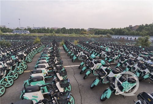 壯觀 空壩上停了上萬輛共享電動車,有市民專門來打卡拍照