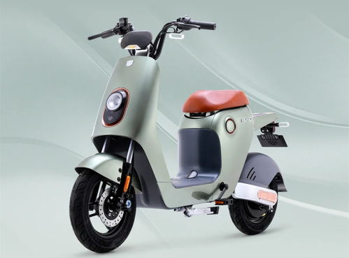 最能跑的3款電動自行車,一次充電能跑160公里,哪款更入你的眼