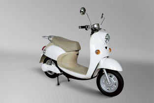 求購一輛9成新的電動車