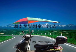 電動(dòng)車晴雨傘 ,湖南省衡陽(yáng)市衡東縣吳集制傘廠