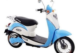 電動(dòng)車的真空胎怎么補(bǔ)