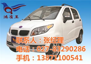 鴻雀王電動車規模,鴻雀王電動車廠家,山西鴻雀王